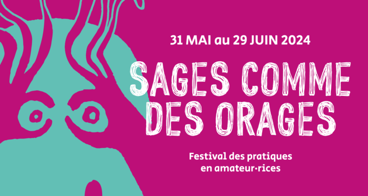 Festival Sages comme