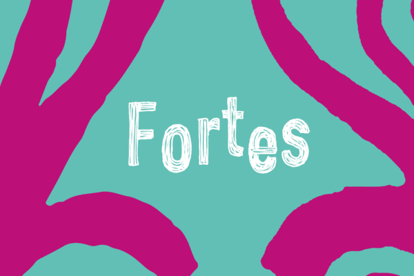 Festival Sages comme